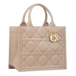 SMALL DIOR BOOK TOTE