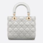 SMALL LADY DIOR MY ABCDIOR BAG