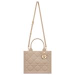 SMALL DIOR BOOK TOTE