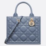 SMALL DIOR BOOK TOTE