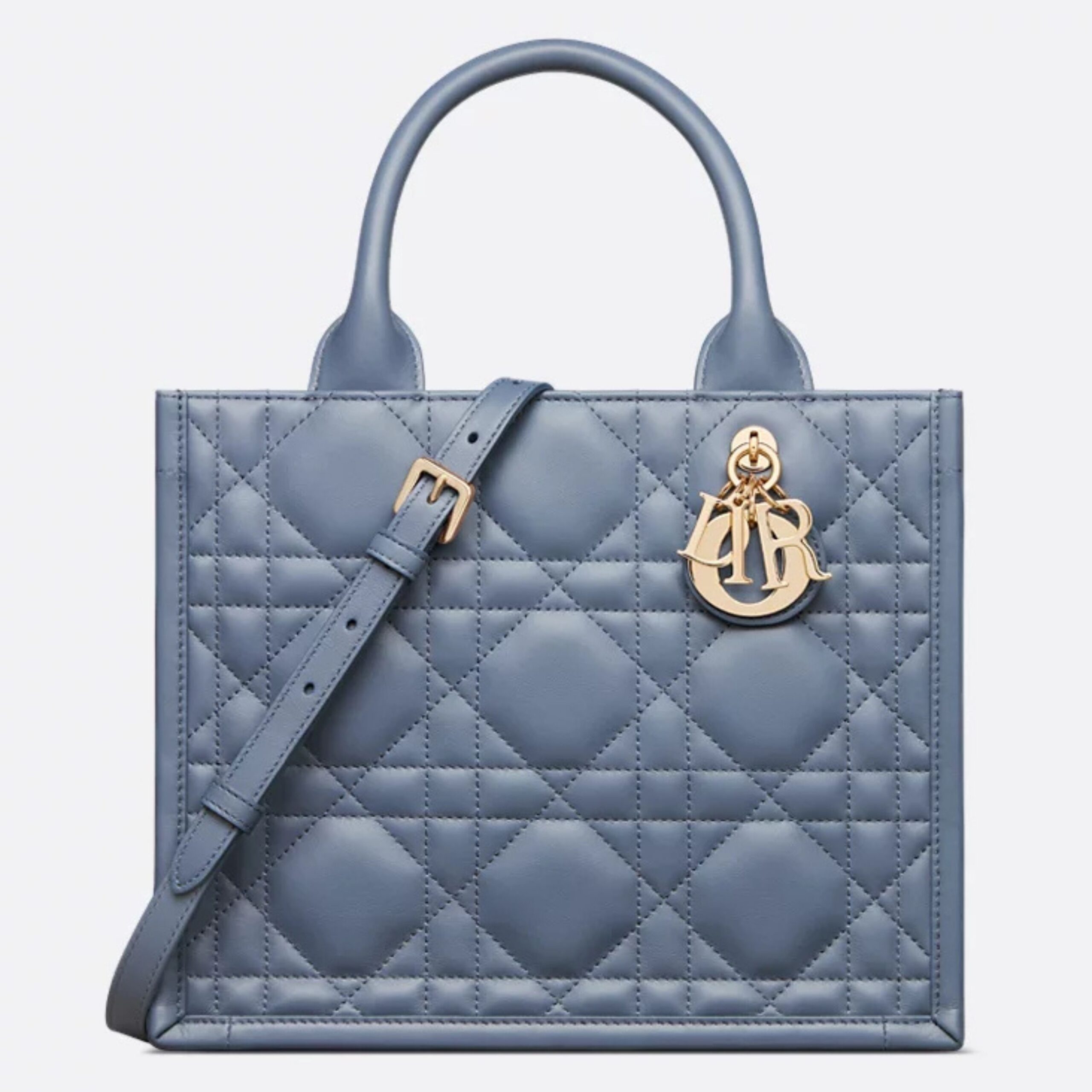 46 SMALL DIOR BOOK TOTE