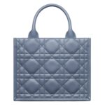 SMALL DIOR BOOK TOTE
