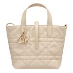 SMALL DIOR TOUJOURS VERTICAL TOTE BAG