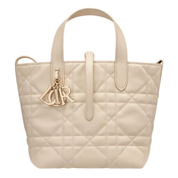 SMALL DIOR TOUJOURS VERTICAL TOTE BAG