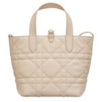 SMALL DIOR TOUJOURS VERTICAL TOTE BAG