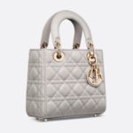SMALL LADY DIOR MY ABCDIOR BAG