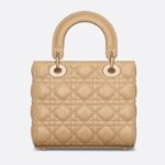 SMALL LADY DIOR MY ABCDIOR BAG