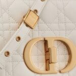 SMALL DIOR CARO BAG