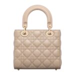 SMALL LADY DIOR MY ABCDIOR BAG