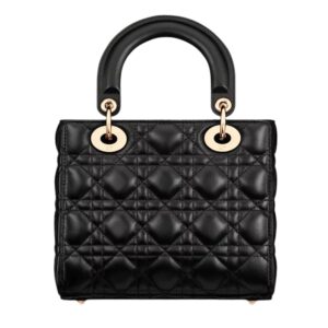 SMALL LADY DIOR MY ABCDIOR BAG