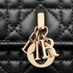 MY DIOR MINI BAG