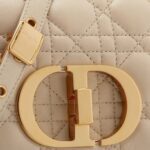 SMALL DIOR CARO BAG