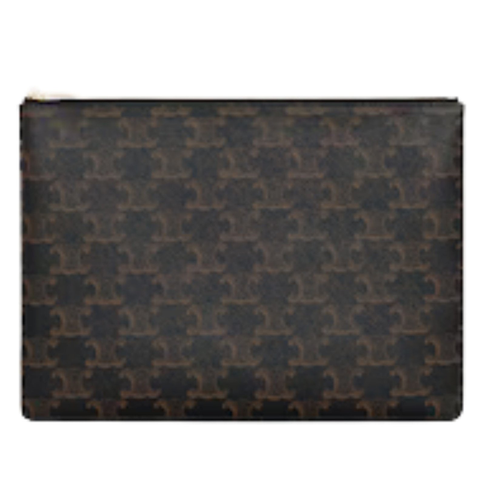 POUCH IN TRIOMPHE CANVAS