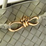 ANDIAMO SMALL INTRECCIATO LEATHER TOTE