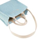 MARNI SMALL BASKET RAFFIA TOTE BAG
