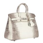 HERMES BIRKIN 25 HIMALAYA NILOTICUS CROCODILE DIAMOND ENCRUSTED PALLADIUM HARDWARE