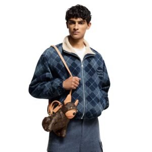 LOUIS VUITTION POOCH BAG