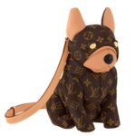 LOUIS VUITTION POOCH BAG