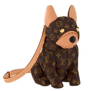 LOUIS VUITTION POOCH BAG