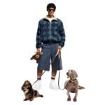 LOUIS VUITTION POOCH BAG