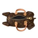 LOUIS VUITTION POOCH BAG