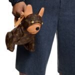 LOUIS VUITTION POOCH BAG