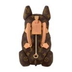 LOUIS VUITTION POOCH BAG