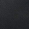 The Row Small E/W India Bag Black Edition