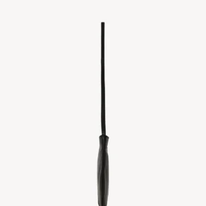 The Row EW Izzy Bag In Black